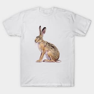 European hare T-Shirt